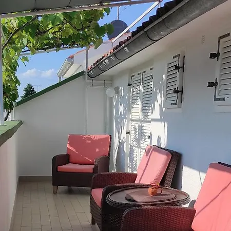 Sumamore بوريتش